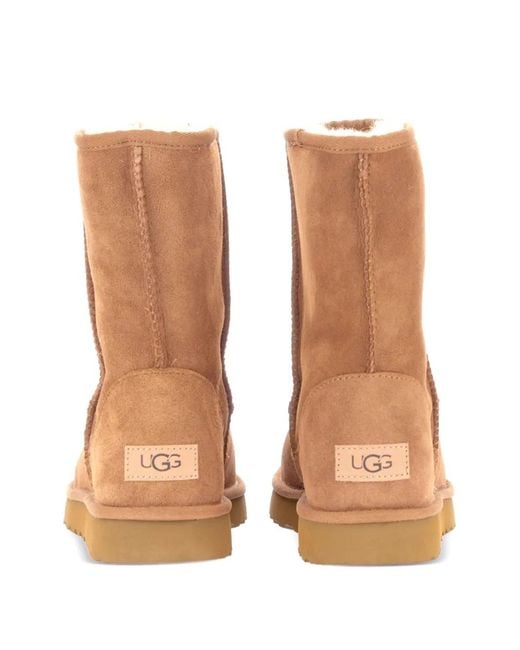 Ugg Brown Classic Boots