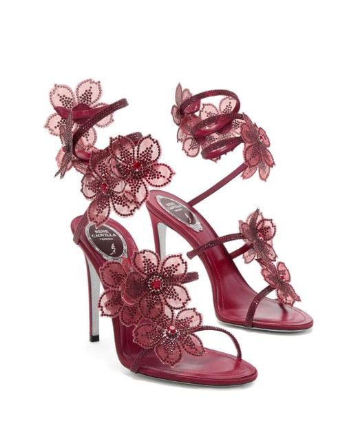 Rene Caovilla Pink 105Mm Crystal-Flower Embellished Sandals
