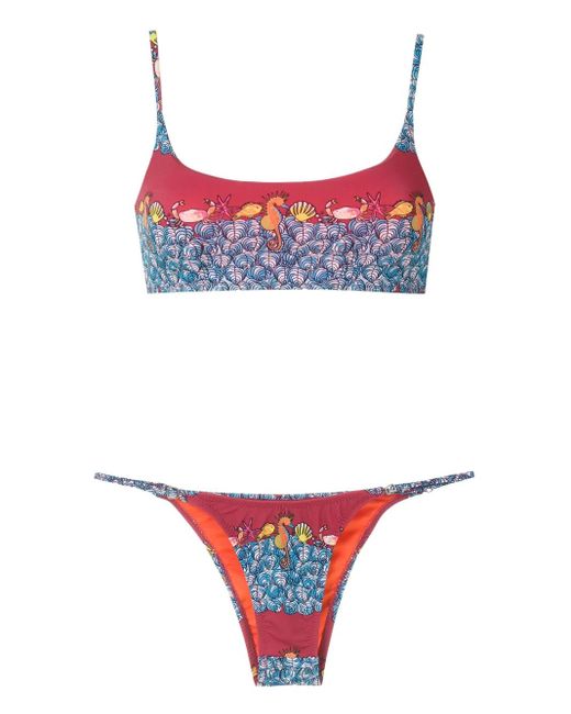 Amir Slama Red Animal-Print Bikini Set