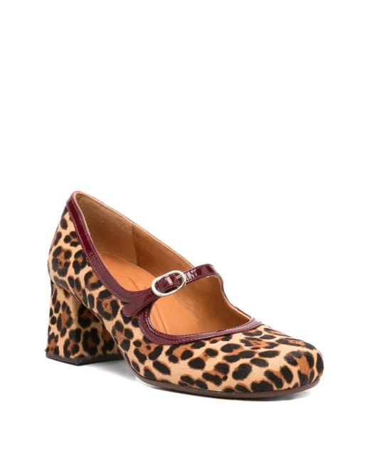 Chie Mihara Brown Shoes