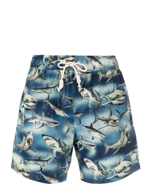 Palm Angels Blue Sharks-print Swim Shorts for men