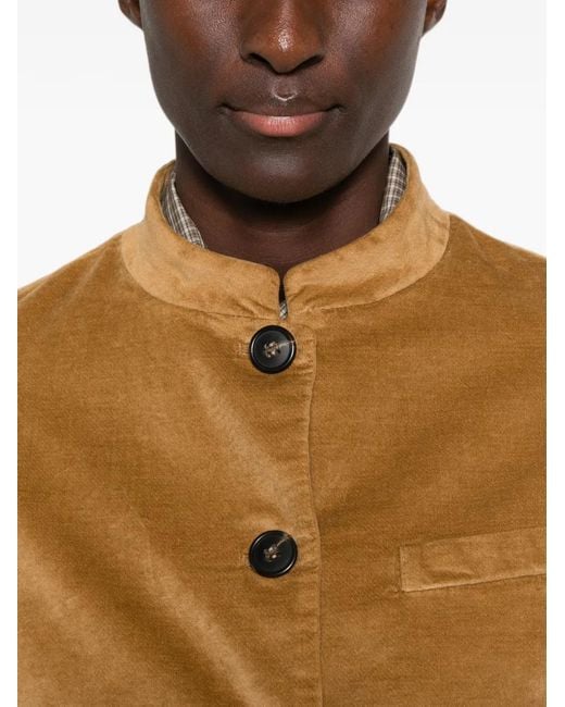 19.61 MILANO Brown Velvet Band-Collar Jacket
