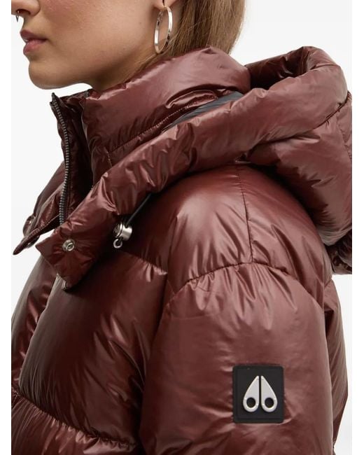 Moose Knuckles Brown Padded Hooded Jacket