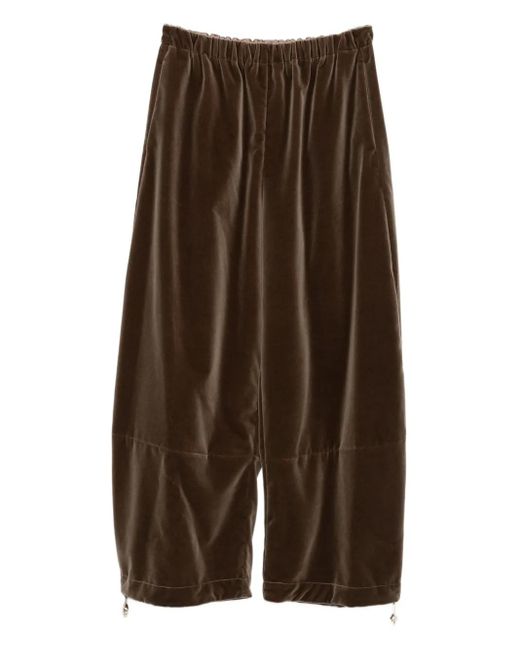 Fabiana Filippi ベルベット パンツ Brown