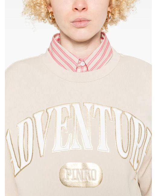 Pinko Natural Light Adventure Sweatshirt
