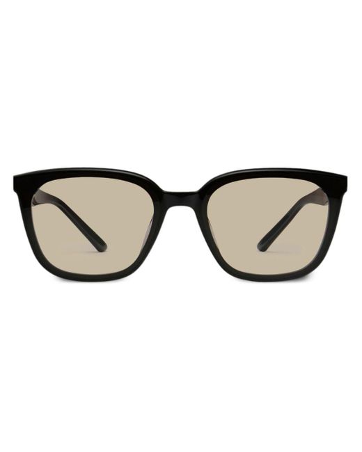 Gentle Monster Brown Pino 01(br) Sunglasses