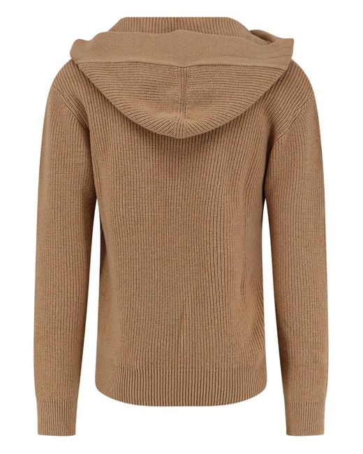 Laneus Brown Long-Sleeve Hoodie for men