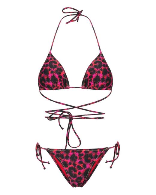 Bikini Miami con estampado de leopardo Reina Olga de color Purple