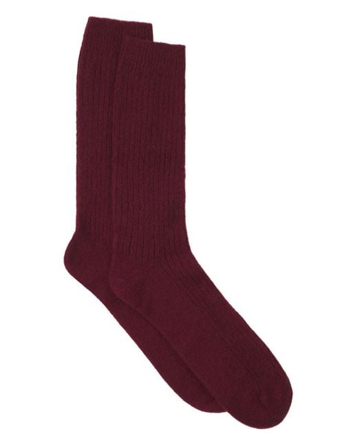 Lanvin Purple Ribbed-Knit Socks for men