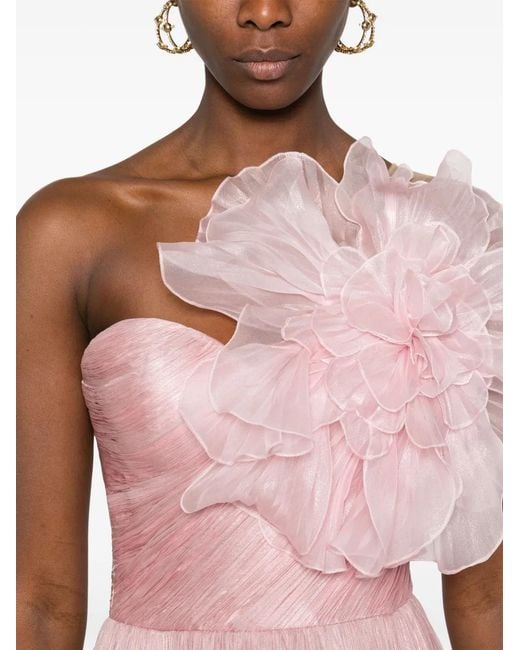 IRIS SERBAN Ruby Maxi-Jurk in het Pink