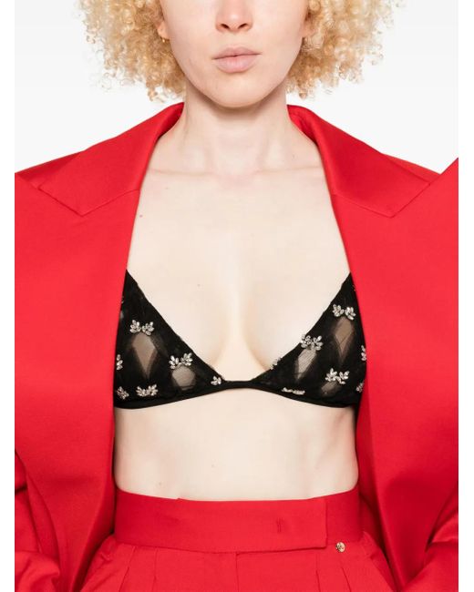 Nissa Black Cropped Top