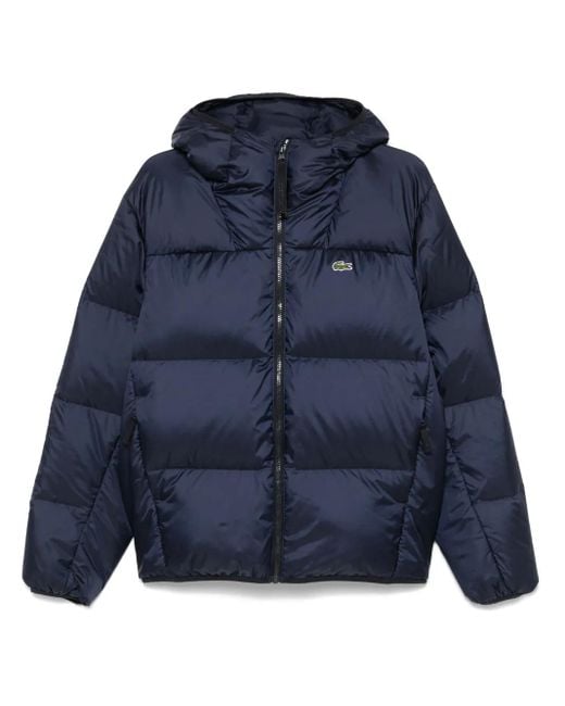 Lacoste Blue Hooded Padded Jacket for men