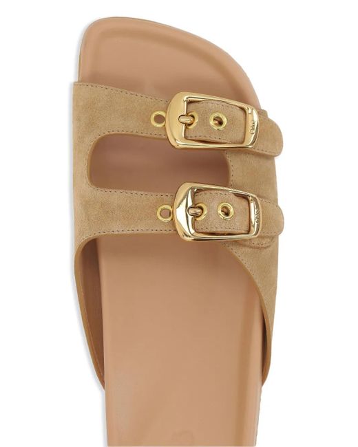 Chloé Multicolor Polly