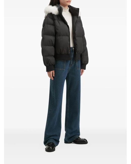 B+ AB Black Hooded Puffer Jacket