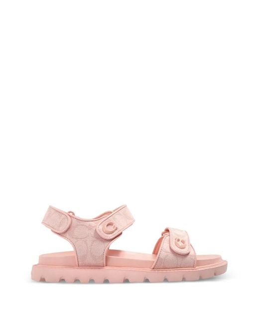 COACH Pink Brynn Logo Sandals