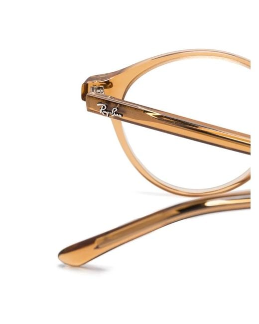 Ray-Ban Brown Bernard Glasses