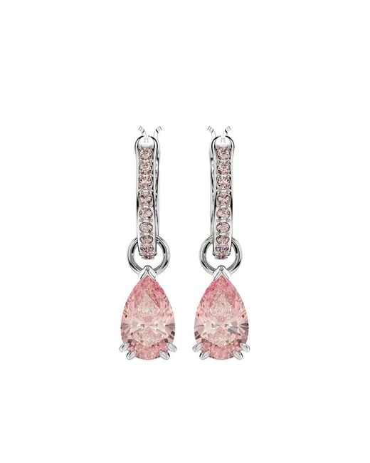 Swarovski Pink Attract Pear-Shaped Crystal Hoop Earrings