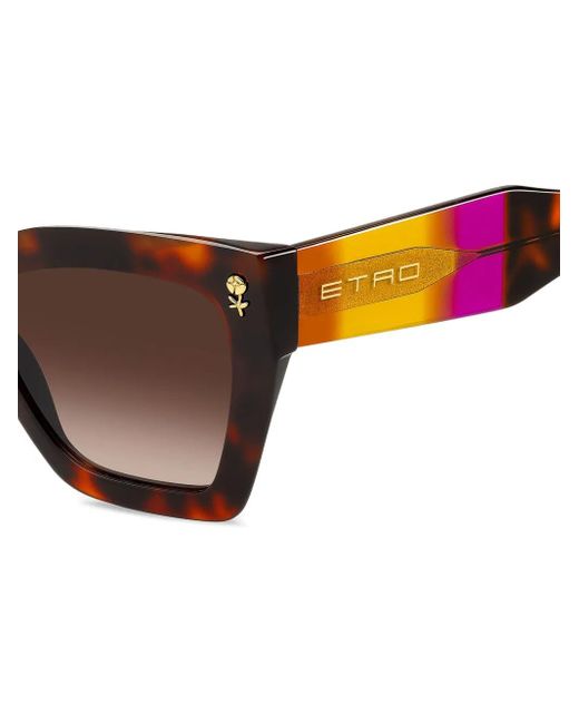 Etro Brown Colour Stripes Sunglasses