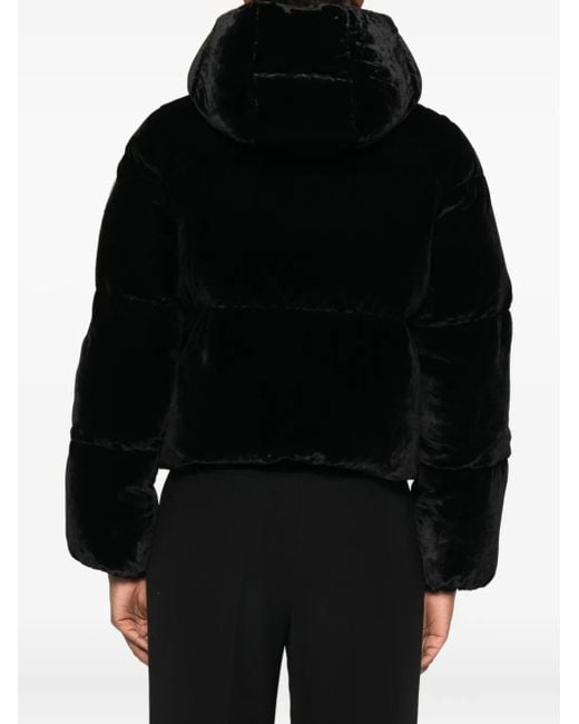 Hooded puffer jacket Elisabetta Franchi de color Black