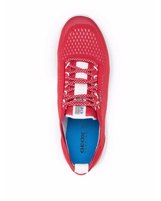 Geox Red Gestrickte Sneakers