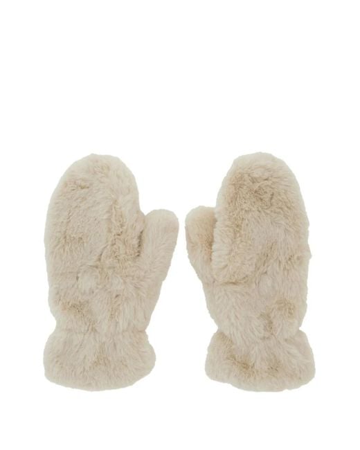 Muffole di Apparis in Natural