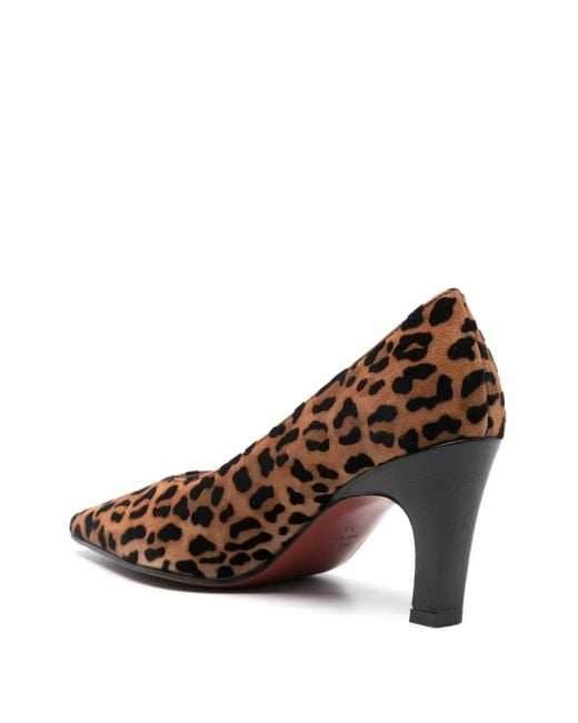 Roberto Festa Brown Wara Leopard-Print Pumps