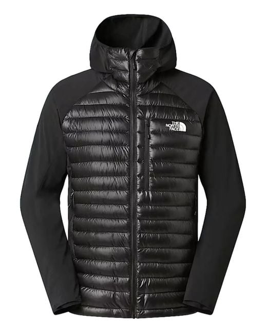 The North Face Black Summit Breithorn Hooded-Padded Jacket for men