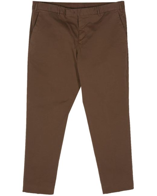 PT Torino Brown Tapered Cotton Chino Trousers for men