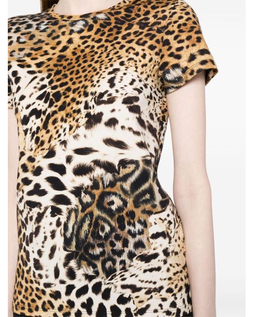 Roberto Cavalli Black T-Shirt mit Tiger-Print