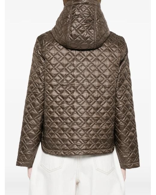 Marella Brown Quilted Hooded Jacket