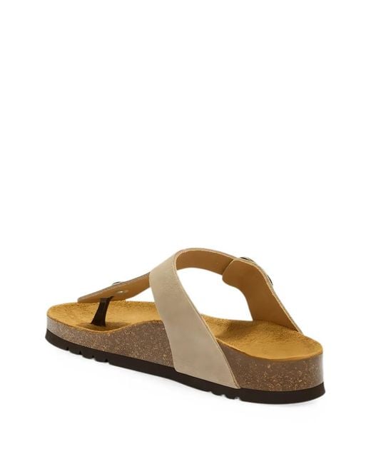 Scholl Multicolor Anais Buckle-Fastening Suede Sandals