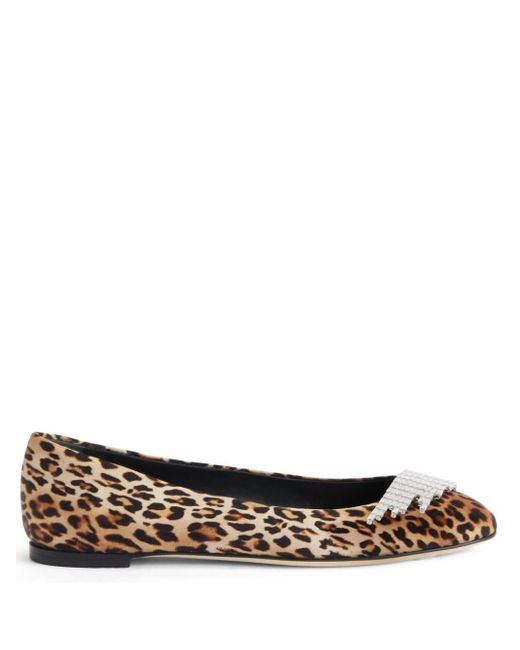 Giuseppe Zanotti Brown Iveery Leopard-print Ballerina Shoes