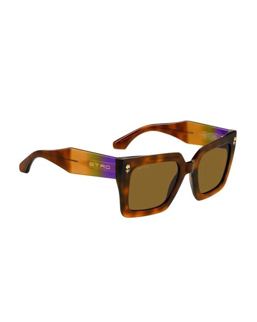 Etro Brown Colourstripes Sunglasses