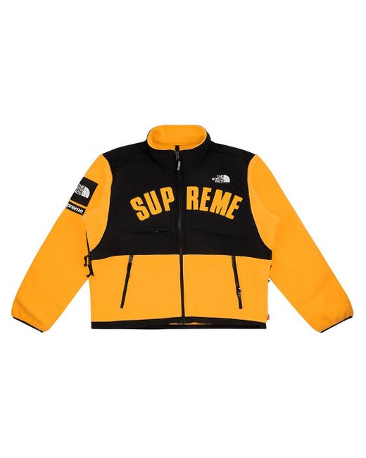 supreme north face arc