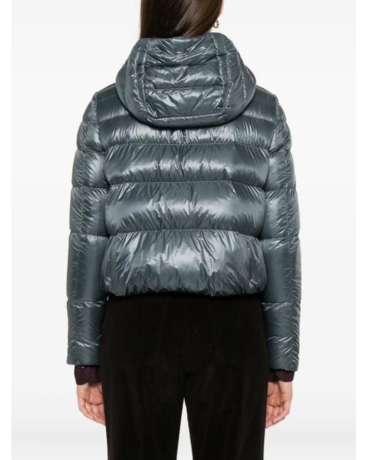 Herno Blue Parka