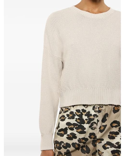 Laneus White Crew-Neck Knitted Sweater