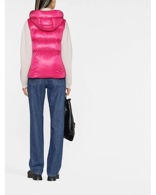 Herno Pink Sleeveless Button-Front Gilet