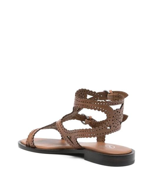 Ash Brown Paprika Sandals