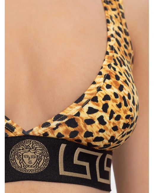 Versace Natural Leopard-Print Logo-Band Bra
