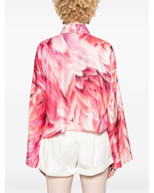 Feather-print cropped shirt di Roberto Cavalli in Red