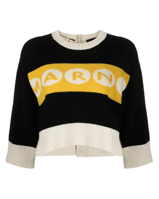 Maglione Crop Con Logo di Marni in Black