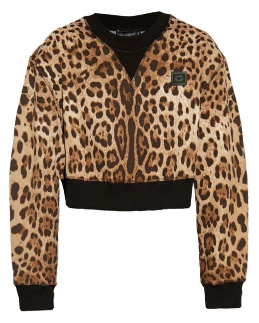 Dolce & Gabbana Black Leopard-Print Jumper
