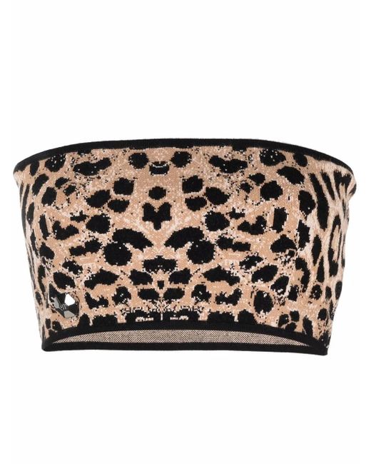 Philipp Plein Black Knitted Leopard-Print Bandeau Top