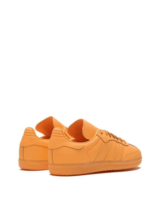 Adidas Orange X Pharrell Williams Baskets Humanrace Sichona