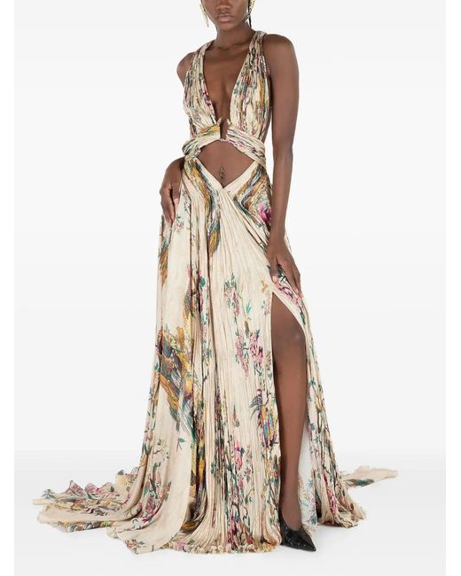 Roberto Cavalli Natural Pleated Floral-Print Dress