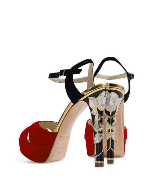 freya rose Red Rose
