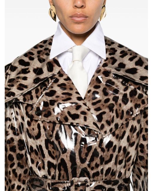 Trench ceinturé à imprimé léopard Dolce & Gabbana en coloris Natural