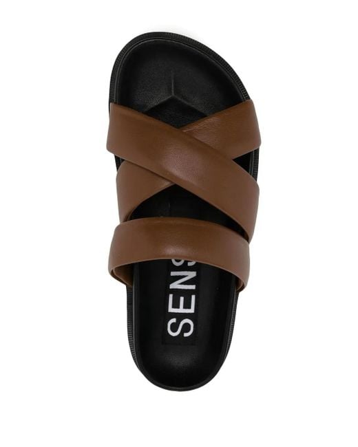 Senso Brown Nico Leather Sandals