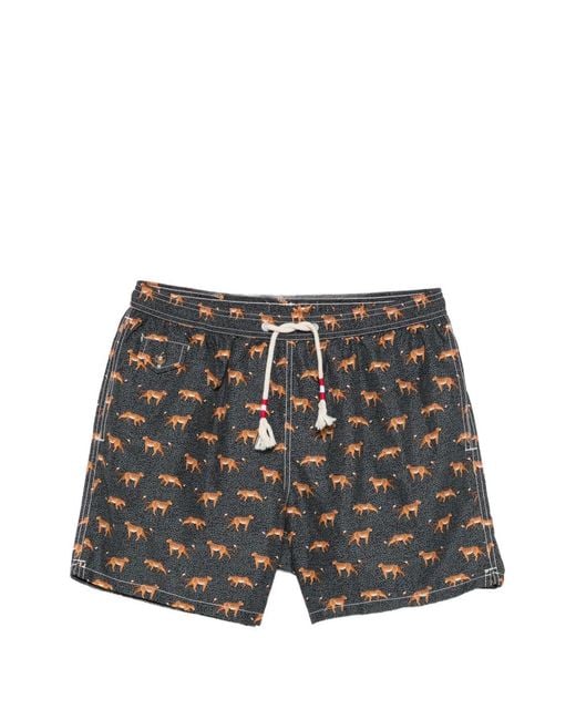 Mc2 Saint Barth Gray Lighting Micro Fantasy Swim Shorts for men