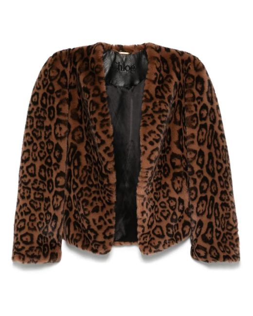 Chloé Brown Jacke Aus Faux Fur